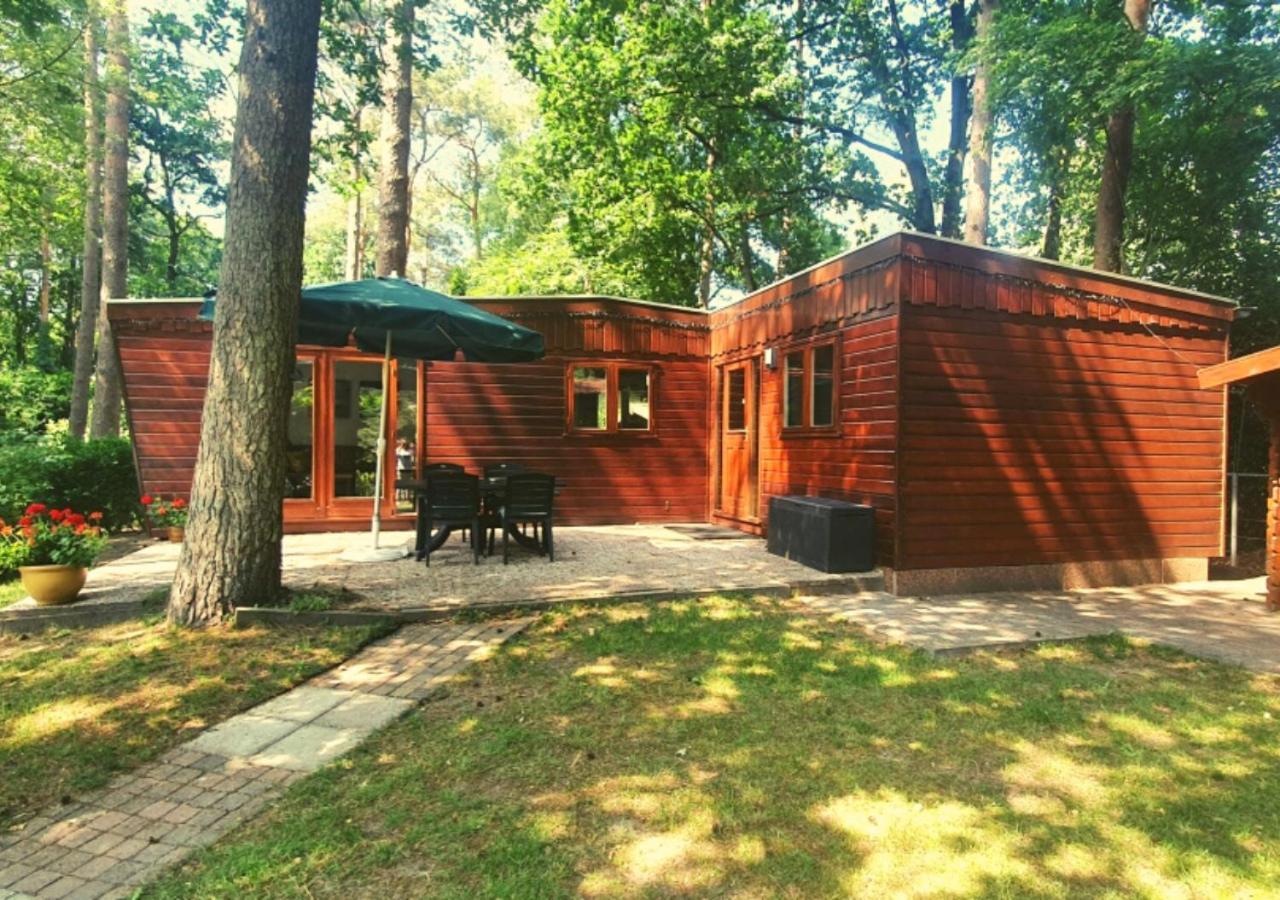 Chalet L2 Dennenrhode Doornspijk Buitenkant foto
